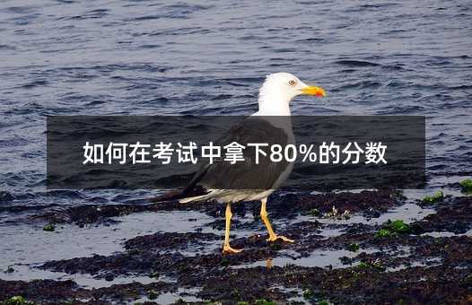 如何在考试中拿下80%的分数