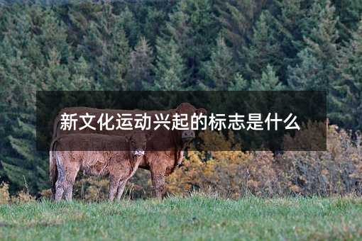 新文化运动兴起的标志是什么