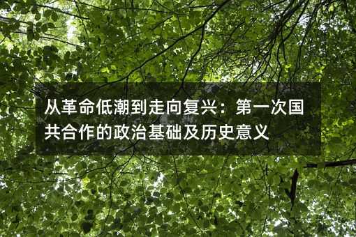 从革命低潮到走向复兴:第一次国共合作的政治基础及历史意义