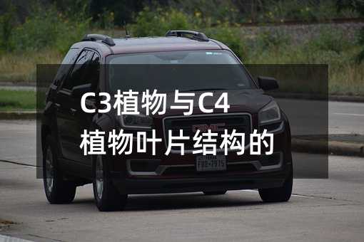 C3ֲC4ֲҶƬṹ