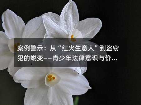 案例警示:从“红火生意人”到盗窃犯的蜕变——青少年法律意识与价值观教育的启示