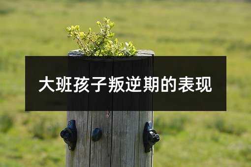 大班孩子叛逆期的表现