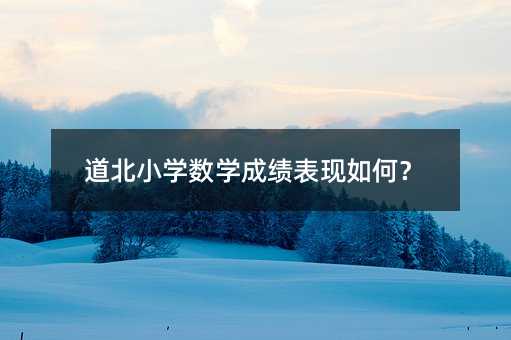 道北小学数学成绩表现如何?
