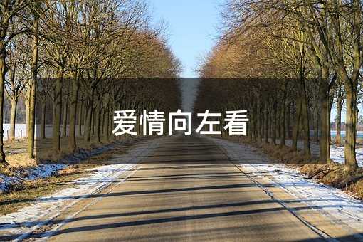 爱情向左看