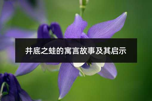 井底之蛙的寓言故事及其启示