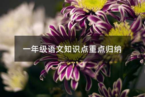 一年级语文知识点重点归纳