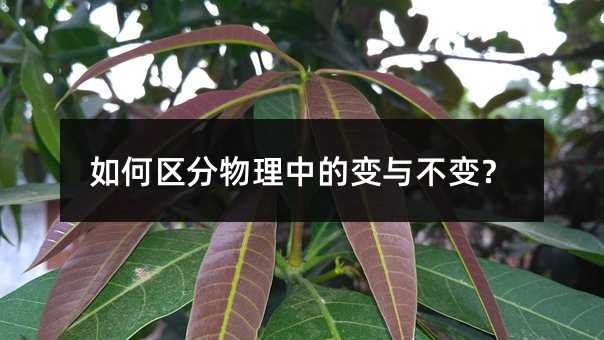 如何区分物理中的变与不变?