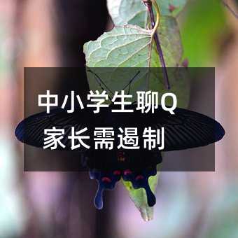 中小学生聊Q 家长需遏制