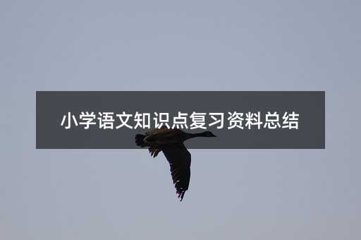 小学语文知识点复习资料总结