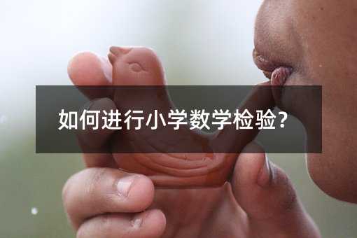 如何进行小学数学检验?