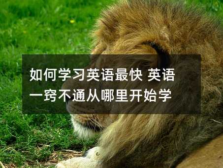 如何学习英语最快 英语一窍不通从哪里开始学
