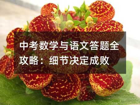 中考数学与语文答题全攻略:细节决定成败