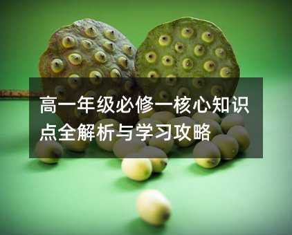 高一年级必修一核心知识点全解析与学习攻略