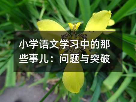 Сѧ����ѧϰ�е���Щ�¶���������ͻ��