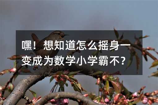嘿!想知道怎么摇身一变成为数学小学霸不?