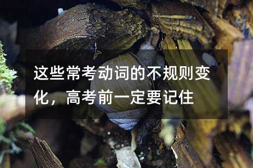 这些常考动词的不规则变化,高考前一定要记住