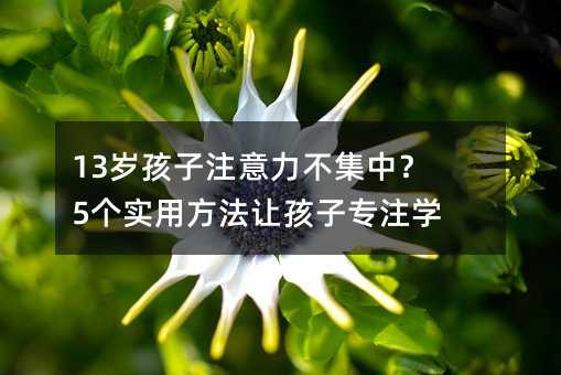 13꺢עУ5ʵ÷úרעѧϰ