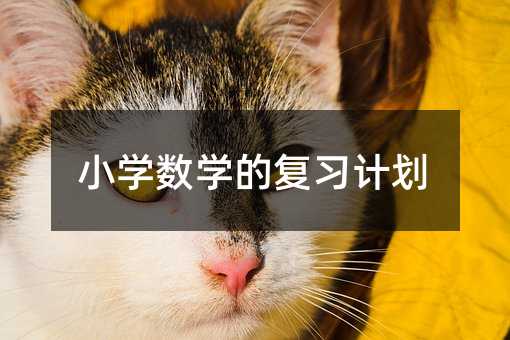 小学数学的复习计划
