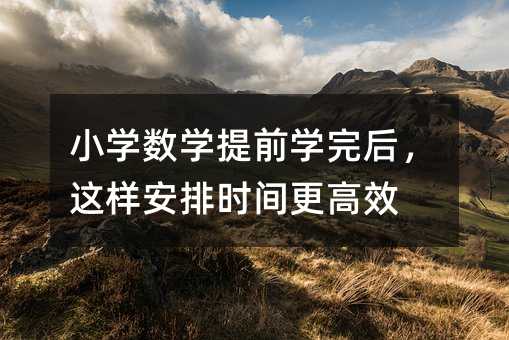 小学数学提前学完后,这样安排时间更高效