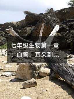 꼶һ£Ѫܡ䵽ѧŲ