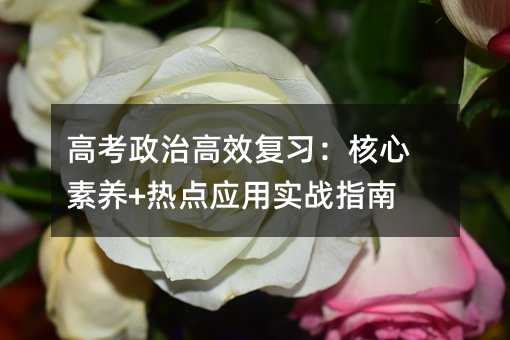 高考政治高效复习:核心素养+热点应用实战指南