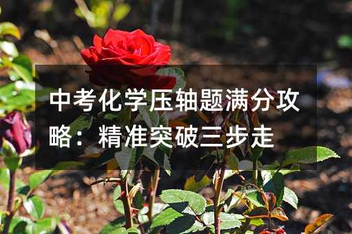 中考化学压轴题满分攻略:精准突破三步走