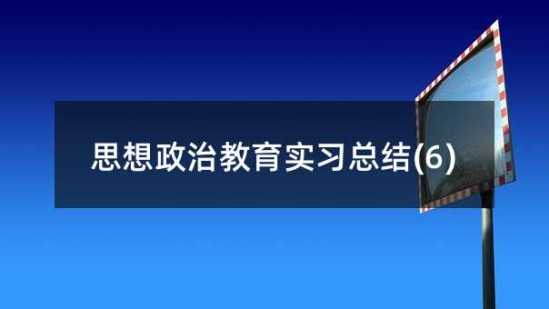 思想政治教育实习总结(6)