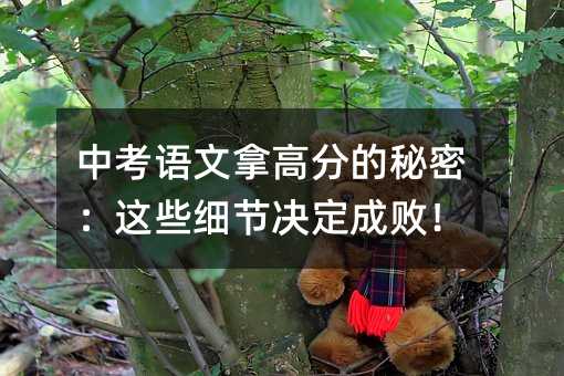 中考语文拿高分的秘密:这些细节决定成败!