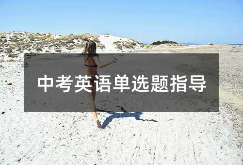 中考英语单选题指导