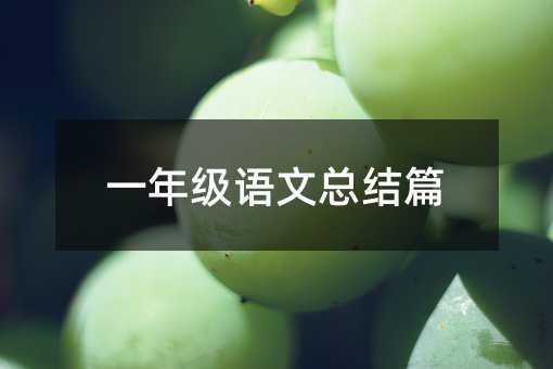 一年级语文总结篇