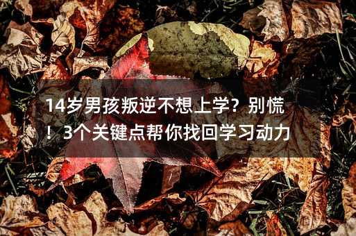 14岁男孩叛逆不想上学?别慌!3个关键点帮你找回学习动力