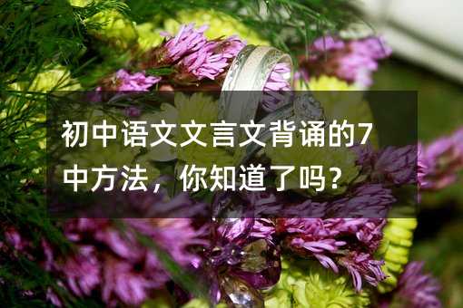 初中语文文言文背诵的7中方法,你知道了吗?