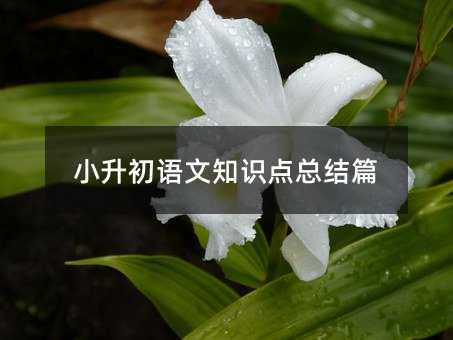 小升初语文知识点总结篇