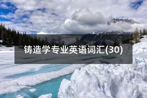 ����ѧרҵӢ��ʻ�(30)