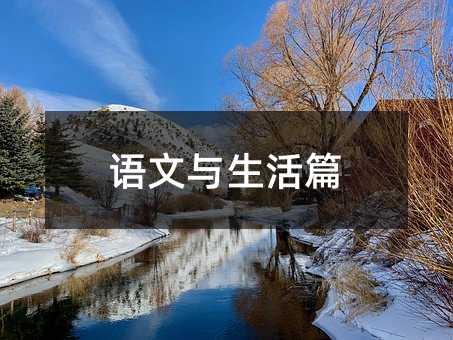 ����������ƪ