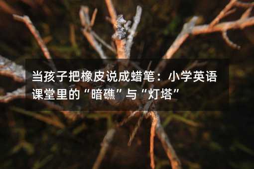 �����Ӱ���Ƥ˵�����ʣ�СѧӢ�������ġ��������롰������