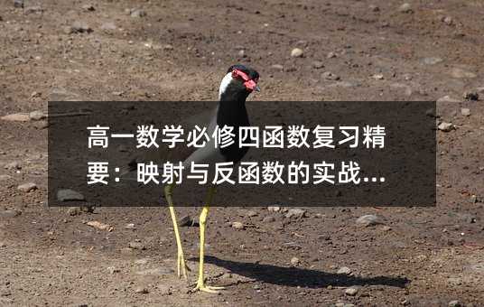 ��һ��ѧ�����ĺ�����ϰ��Ҫ��ӳ���뷴������ʵսͻ��