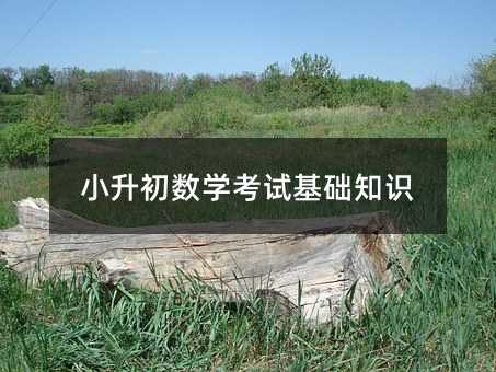 С������ѧ���Ի���֪ʶ