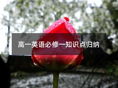 ��һӢ�����һ֪ʶ�����
