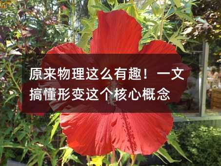 原来物理这么有趣!一文搞懂形变这个核心概念