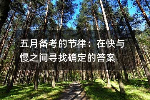 五月备考的节律:在快与慢之间寻找确定的答案