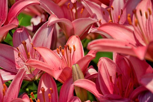 �п���ѧӦ������