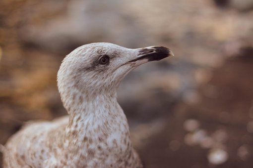 �����ѧ����