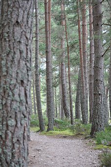家长管得越多,孩子越难长大