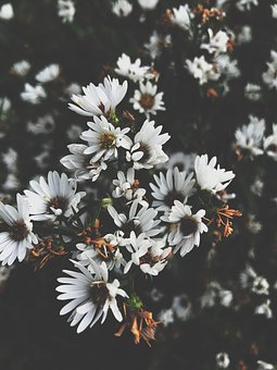 ���ĵ�ѧϰ�ƻ���ȫƪ