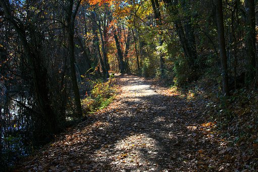 性教育悲剧上演 家长如何正确引导