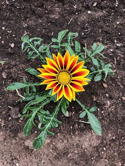 机械英语词汇1501-1600