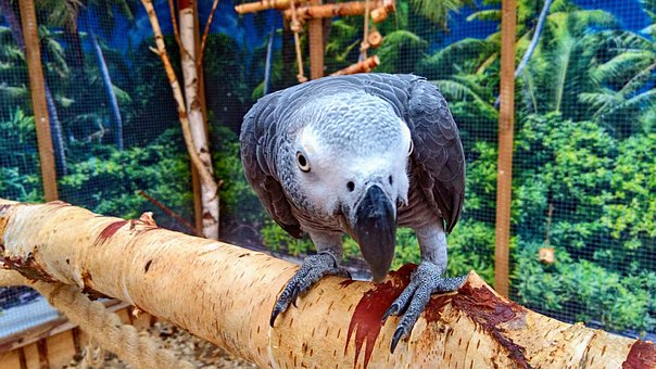 Сѧ����ѧϰ����(8)