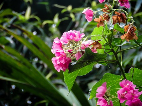 Сѧ��ѧ���ҹ��ɡ������ѧ���