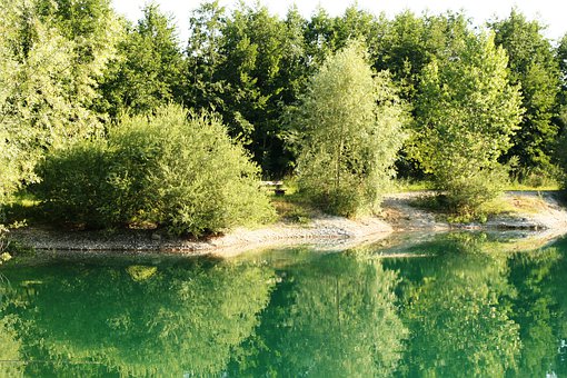 14���ǵ�����������ȥ�ǽ٣�����ȥ�Ǹ�